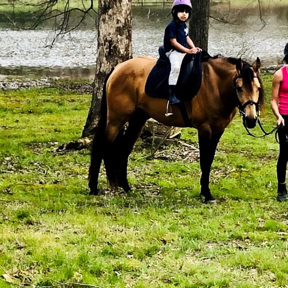 Heart Diamond Farm - Picture 11 of 15